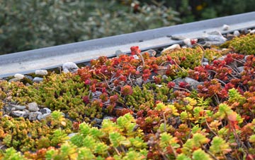 the cost of Llanfarian green roof installation
