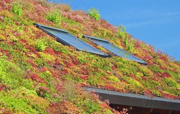 Llanfarian living roof systems